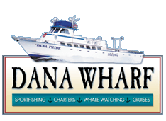 Dana Whaft